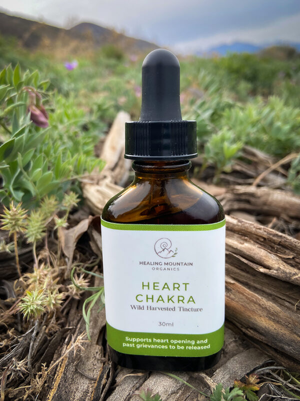 Supports Heart Opening and past grievances to be released.