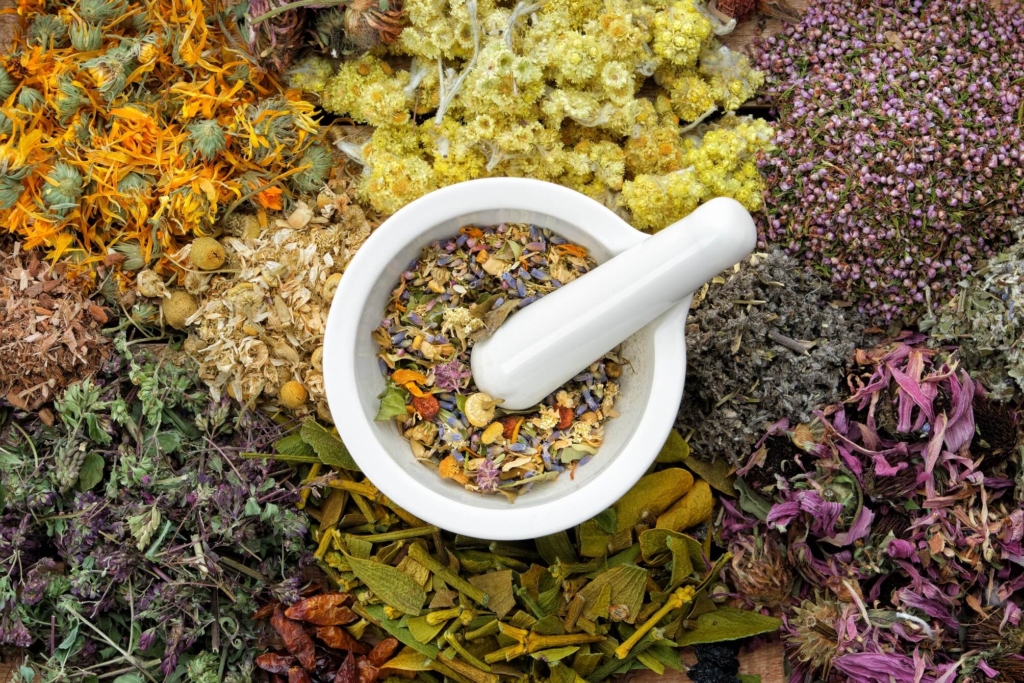 About Healing Mountain Organics | Lovers Of Natural Health